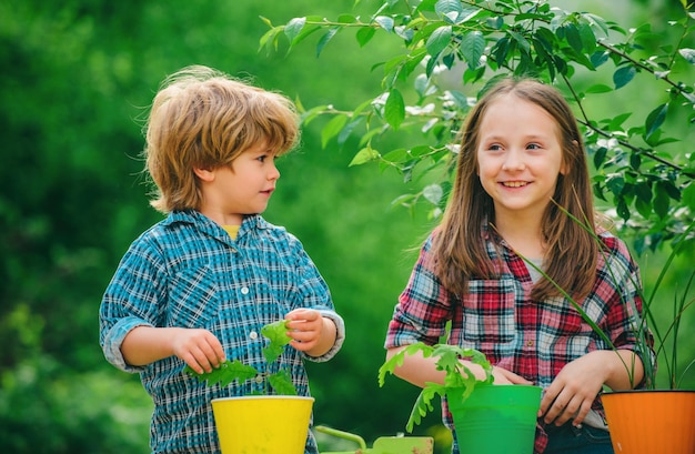 Foto verão no campo doce infância dois pequenos agricultores crianças com legumes orgânicos cultivados em casa