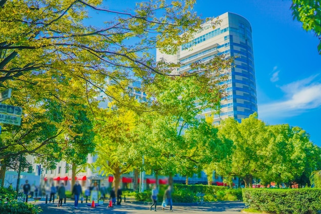 Foto verão no parque yamashita