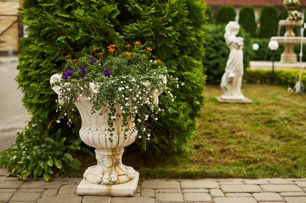 Foto verão ou primavera lindo jardim com margarida flores