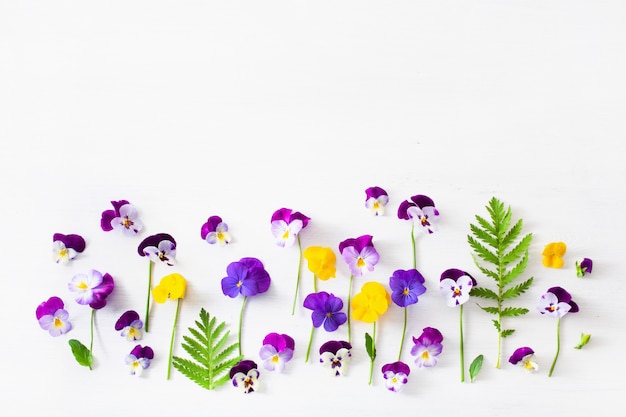 Verão perfeito pansy flores flatlay em branco