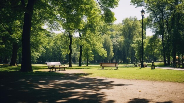 Verão quente Parque ensolarado vazio e sereno