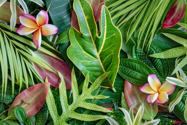 Foto verão tropical mistura folhas verdes e flores fundo vista de cima