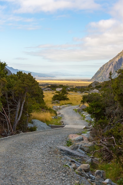 Verão, vista, de, aoraki, cozinheiro monte parque nacional, ilha sul, nova zelândia