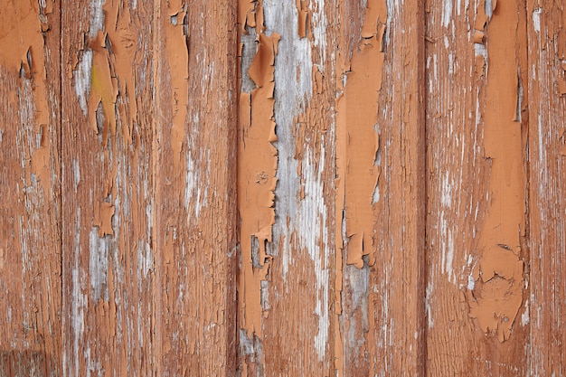 Verblasste Holzbretter mit Korrosion. Gereinigte Holztüren von mehreren Brettern. Altes Naturholzbrett ohne Farbe. Holzhintergrund, Kopierraum.