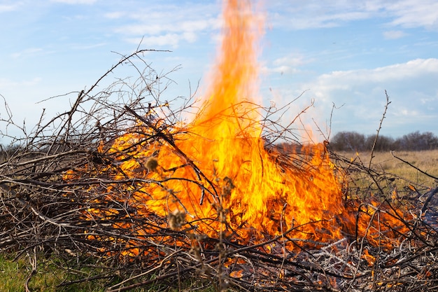 Foto verbrennen von trockenen ästen an einem großen lagerfeuer ihres ferienhauses mit hellen flammen an einem herbsttag