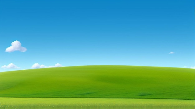 Foto verde colina