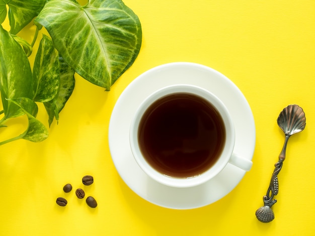 El verde deja la taza de café de la planta en la mesa amarilla, endecha plana, espacio de la copia.