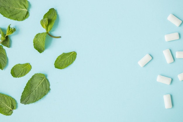 Verde menta com folhas e goma de mascar em fundo azul