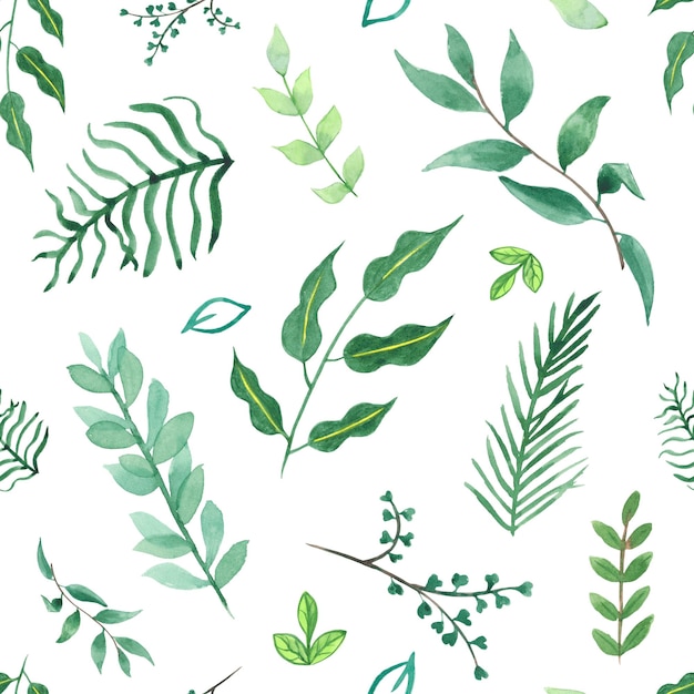 Verde padrão sem emenda em aquarela, flores silvestres em fundo branco. Para tecido, papel, casamento