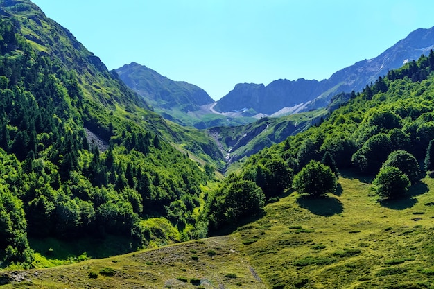 Verde paisaje de alta montaña con coníferas y picos altos en los Pirineos, Francia, Europa