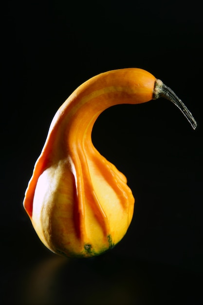 Verde pequeña calabaza de halloween