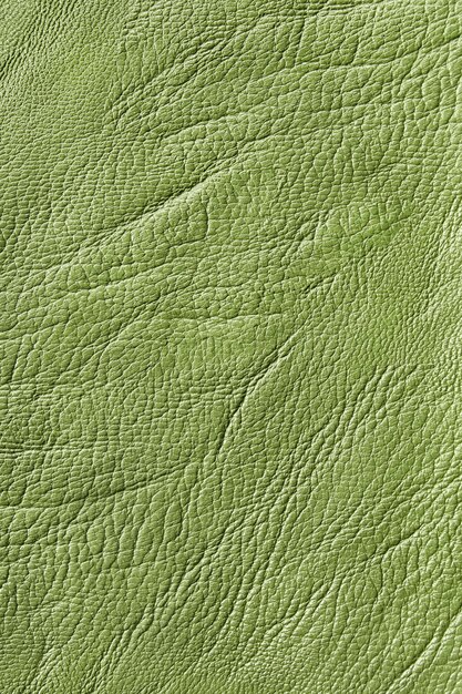 Verde textura de cuero