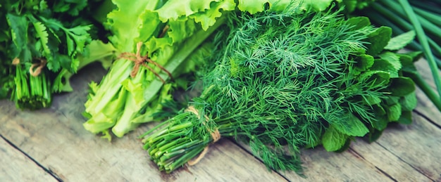 Verdes caseras frescas del jardín.