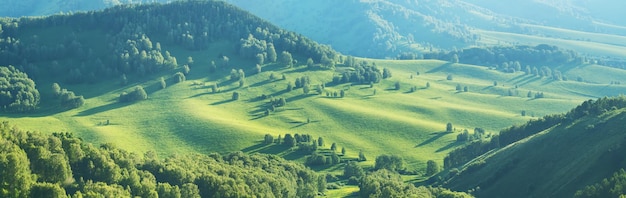 Verdes laderas en la luz de la tarde verdor primaveral panorámico