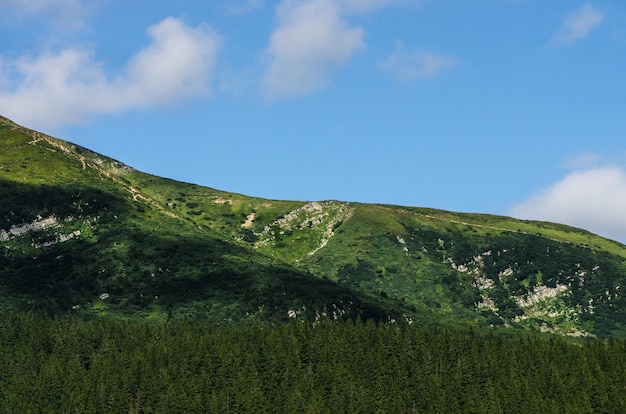 Verdes laderas de las montañas de los Cárpatos en verano