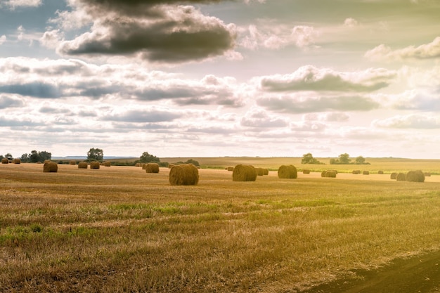 Foto verdrehter heuhaufen auf landwirtschaftsfeldlandschaft