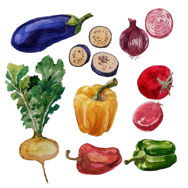 Verduras, berenjena, pimiento, tomate, nabo