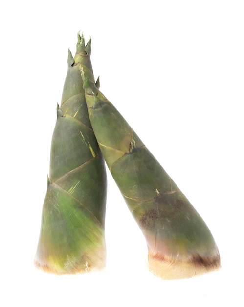 Verduras de brotes de bambú aisladas sobre fondo blanco.