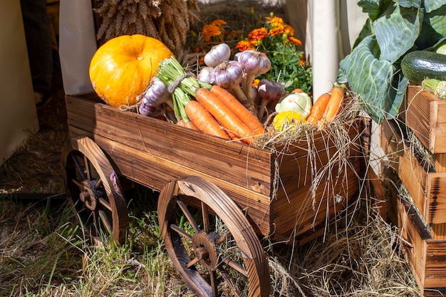 Verduras y calabazas en heno en un carro de madera la temporada de cosecha en la granja de acción de gracias