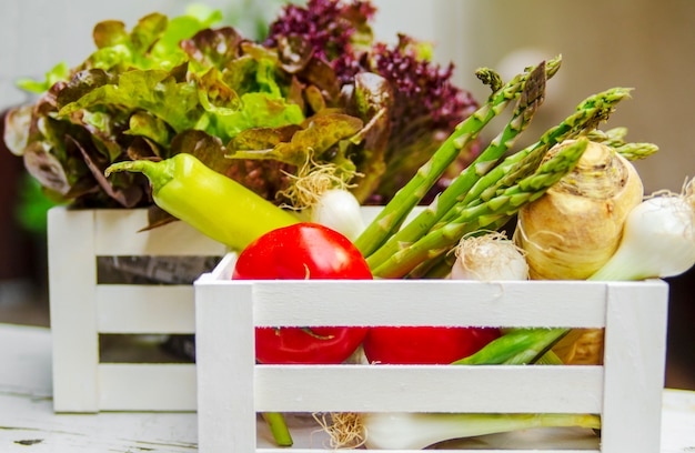 Foto verduras coloridas frescas en muletas de madera blancas