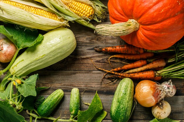 Verduras de la cosecha de otoño