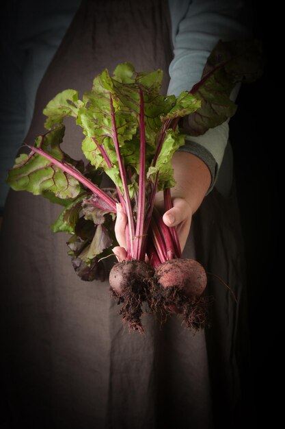 Foto verduras ecológicas frescas cosechadas por los agricultores con remolacha fresca en primer plano