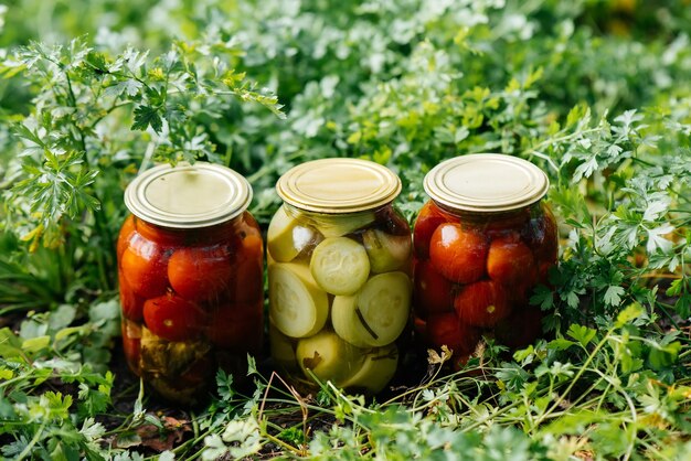 Las verduras enlatadas en latas están en medio del jardín Cosechando y preparando suministros para el inviernoxA