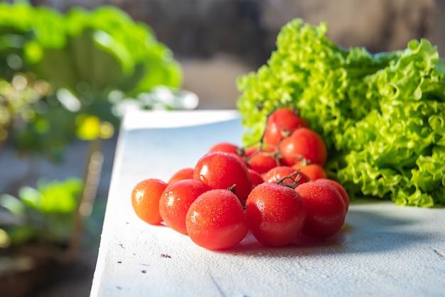 Verduras y especias en una mesa con luz natural y enfoque seleccionado