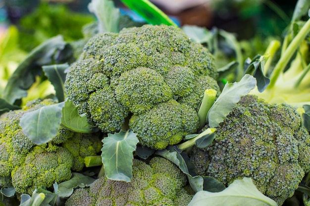 Verduras frescas de brócoli en el mercado