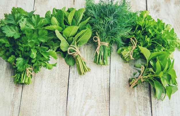 Verduras frescas caseras del jardín.