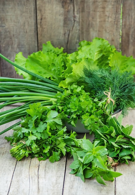 Verduras frescas caseras del jardín.