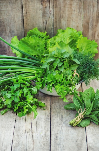 Verduras frescas caseras del jardín.