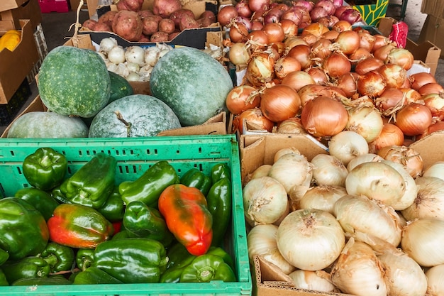 Verduras frescas (cebolla, pimiento, sandía, patatas) en cajas en el mercado