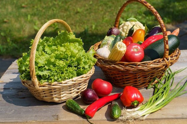 Verduras frescas en una cesta en un jardín de verano en una casa de campo
