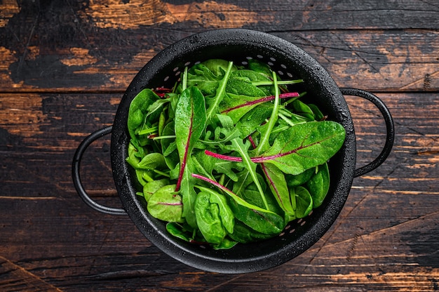 Verduras frescas crudas, espinacas, acelgas y rúcula