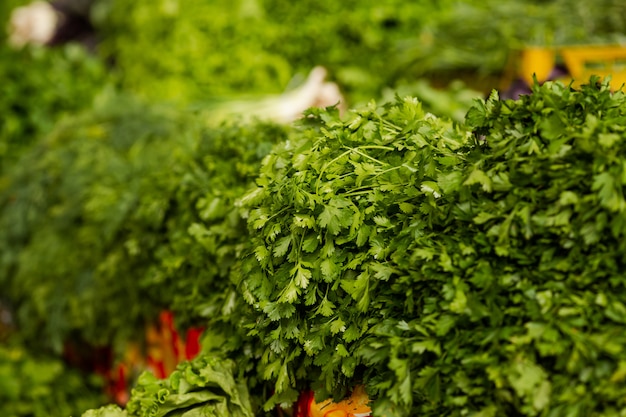 Verduras frescas en el mercado de agricultores