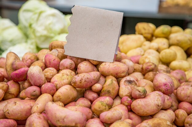 Foto verduras frescas en el mercado.