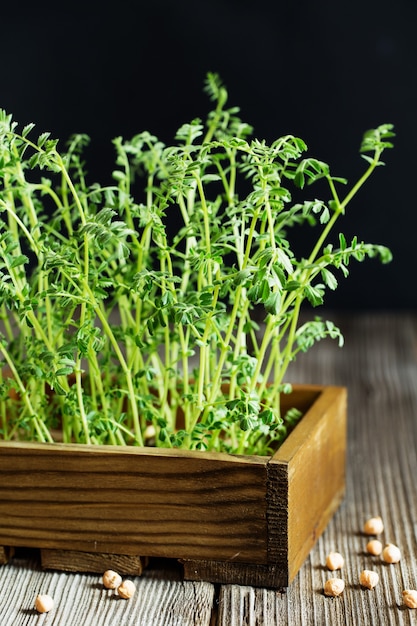 Verduras frescas na placa de madeira contra preto