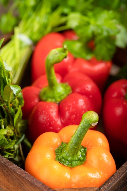 Verduras frescas saludables con gotas de agua en caja de madera