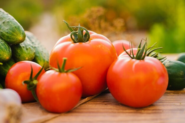 Verduras frescas sobre un fondo de madera Pepinos tomates ajo eneldo Luz solar contorneada Granja orgánica Verduras orgánicas Cosecha de verano