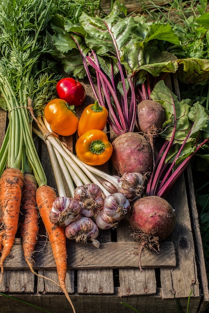 Verduras frescas en superficie de madera. Cosecha de hortalizas