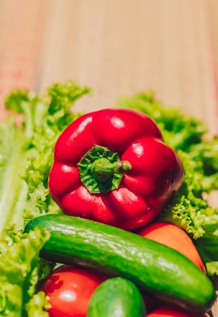 Verduras frescas verticales pimiento rojo tomates pepinos lechuga verde Bodegón de verano Dieta de vitamina cruda vegana plato rápido limpio comer alimentos orgánicos