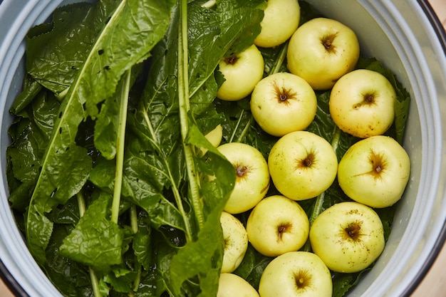 Verduras y frutas fermentadas.