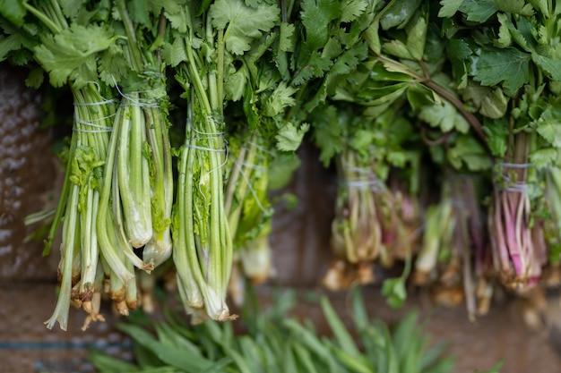 Verduras y hierbas bio frescas en la feria agrícola local de fin de semana del mercado de granjeros de la calle de la mañana