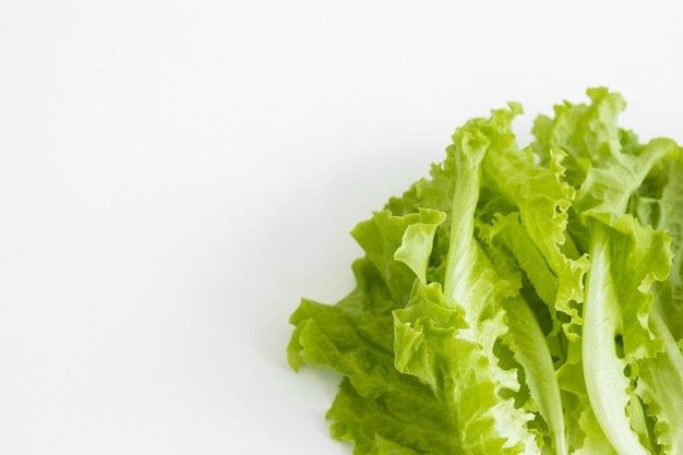 Verduras de lechuga mantequilla verde o ensalada aislado sobre fondo blanco.