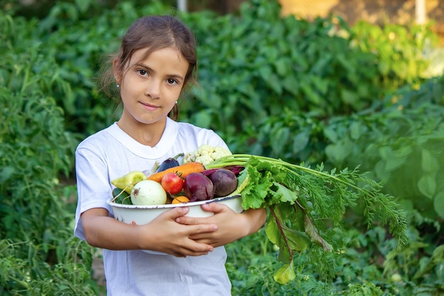 Verduras en manos de los niños de la finca. Enfoque selectivo. Naturaleza