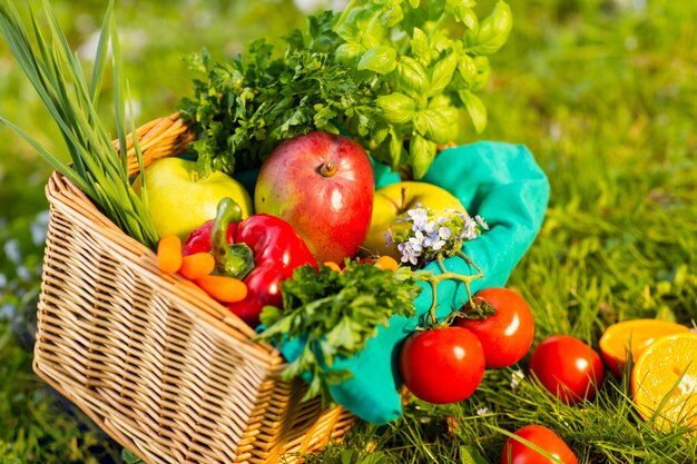 Verduras orgánicas frescas en cesta de mimbre en el jardín