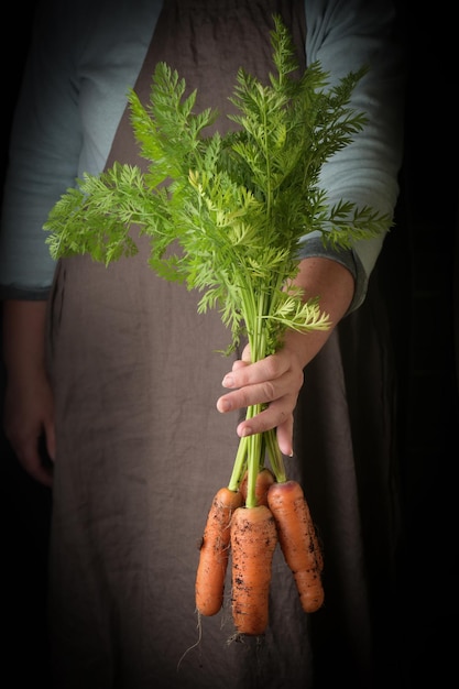 Foto verduras orgánicas frescas cosechadas las manos de los agricultores con zanahorias frescas en primer plano