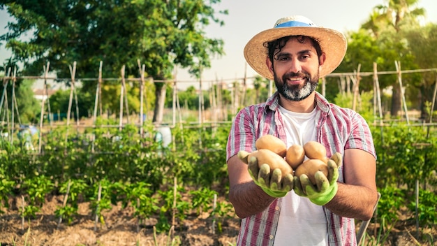 Verduras orgánicas Patatas frescas en manos de un agricultor Hombre alegre