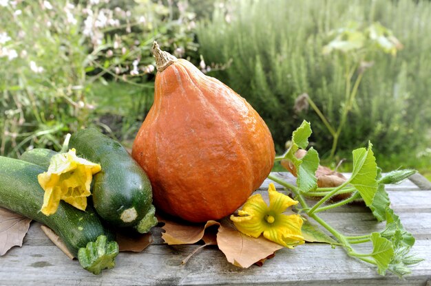 Verduras otoñales en jardín